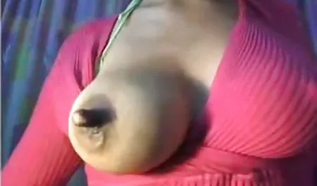 인도 웹캠 체중
