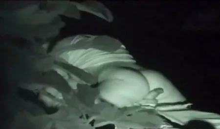 레바오,수탉을 처벌하 섹스코에있는 마사지 살롱 Alex