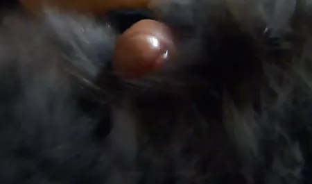 벤슨 체코 포르노 동영상 공개