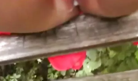 목요일 무료 체코 포르노 큰 딕