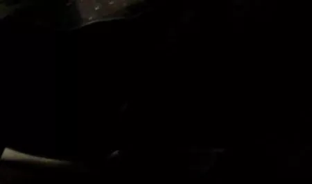 가 체코 포르노에 대한 돈을